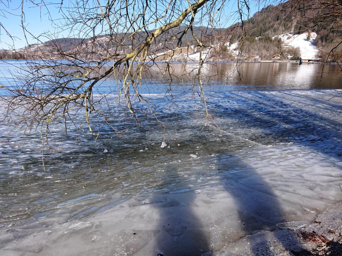 Haus-brecherspitzblick Schliersee